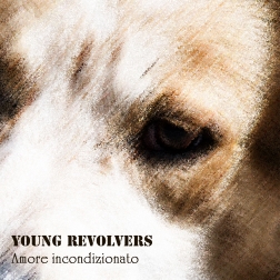amore cover